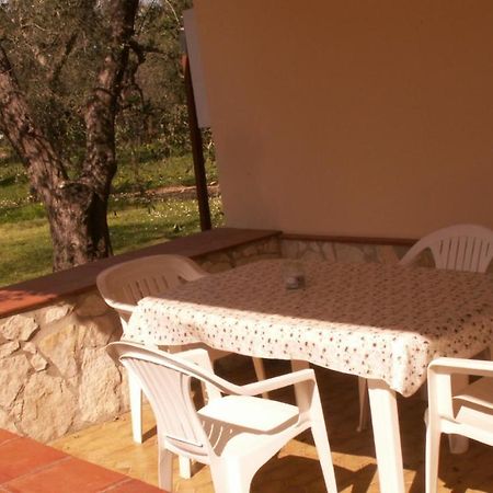 Villa Oleandro Ciccino Vieste Zewnętrze zdjęcie