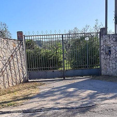 Villa Oleandro Ciccino Vieste Zewnętrze zdjęcie